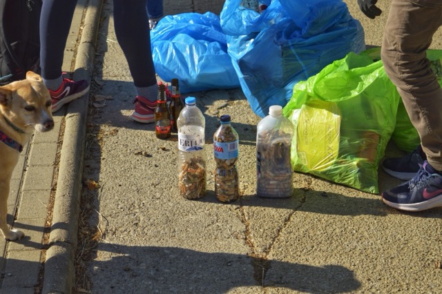 Bolsas con residuos divididos por color y tipo, junto a tres botellas con colillas en primer plano. Amigos y Voluntarios de ECOT.
