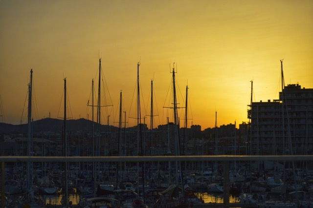 Atardecer sobre el puerto de Barcelona, capturada durante la hora dorada, con tonos cálidos y una hermosa vista del horizonte marítimo. Biodiversidad. ECOT Cooperativa